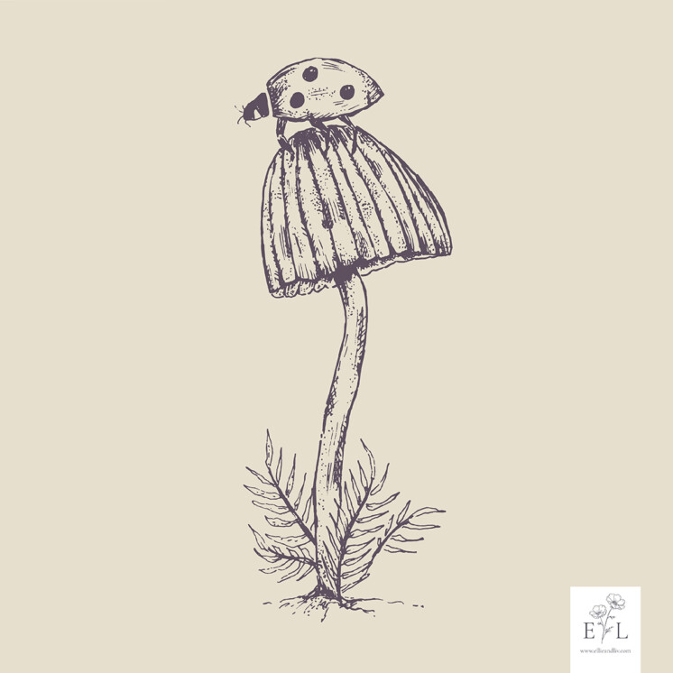 Fine line botanic illustration mushroom with ladybird. Purple on cream