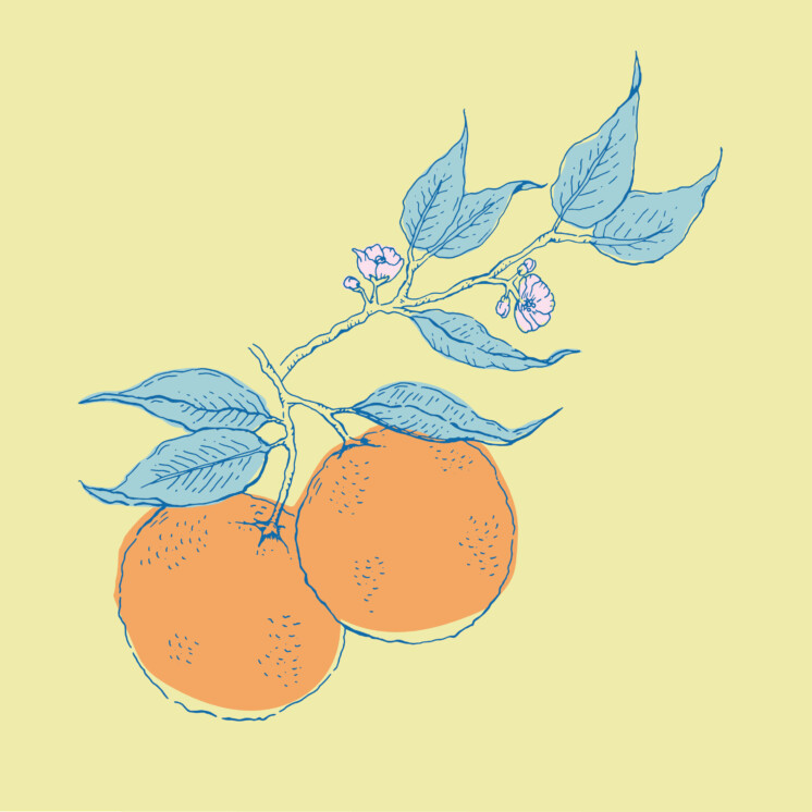 Orange and orange blossom motif