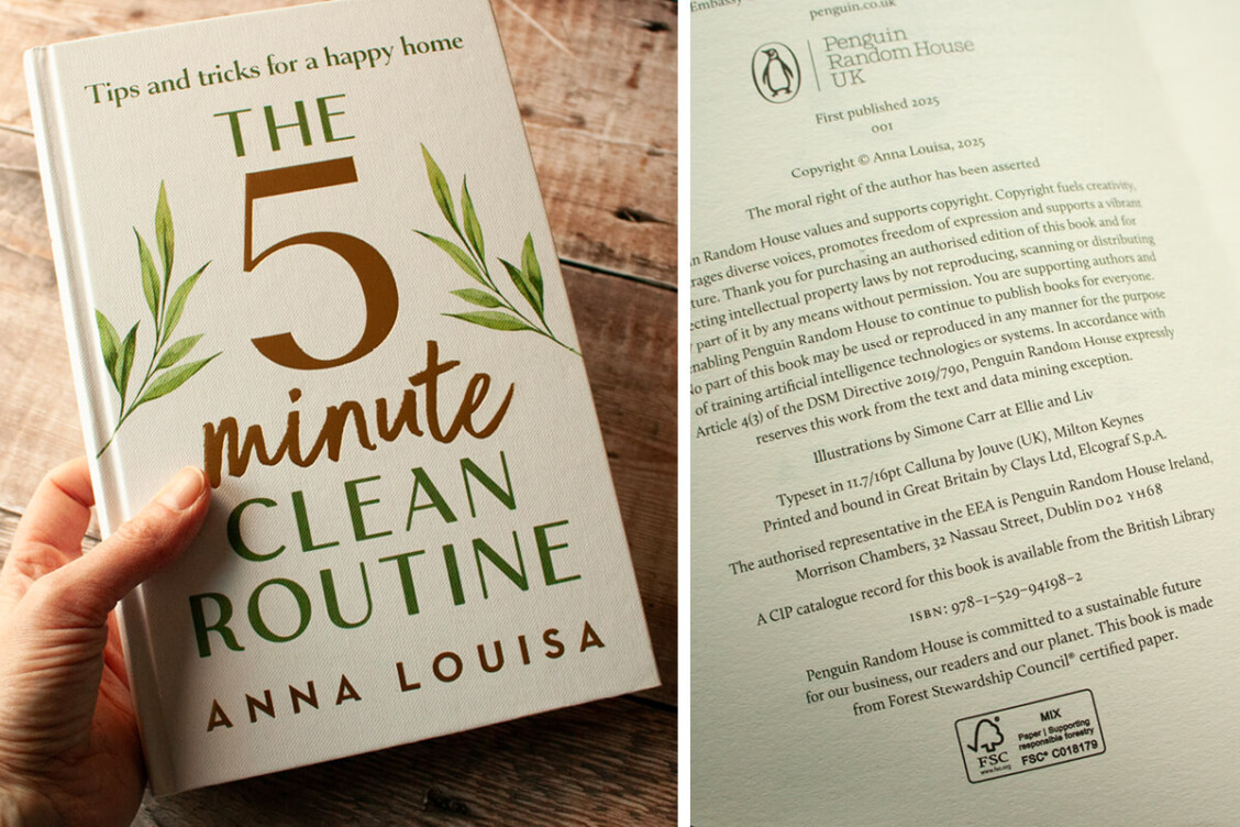 The 5 Minute Clean Routine by Anna Louisa Penguin Random House