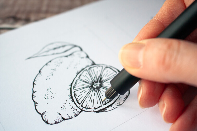 Hand-drawn lemon for Penguin random House Anna Louisa Cleaning book