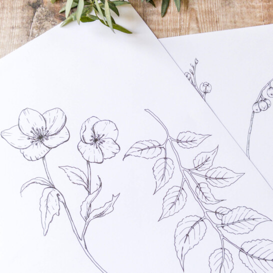 Elowyn Floral Design brand identity including logo, seasonal colour palette and hand-drawn botanical elements