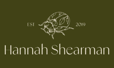 Primary logo design for Hannah Shearman Photography featuring a fine-line ladybird illustration