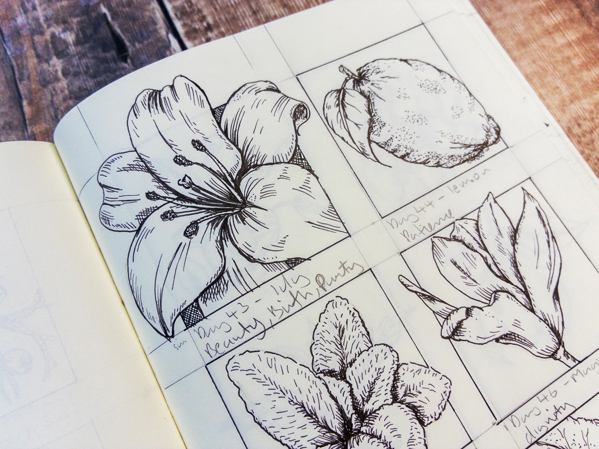 What I learned from 100 days of floriography