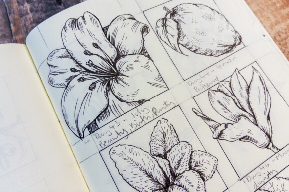 What I learned from 100 days of floriography