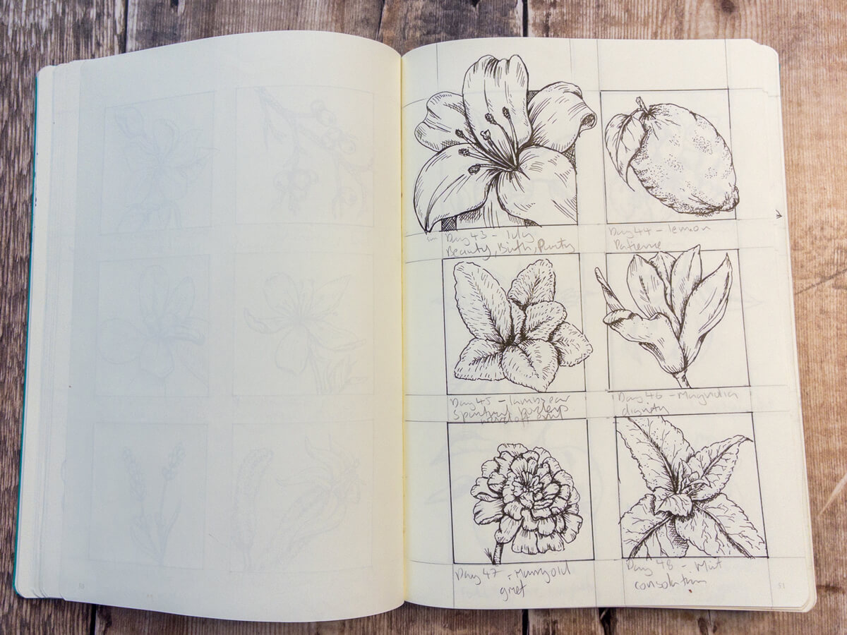 Magnolia flower pen drawing, for dignity.
