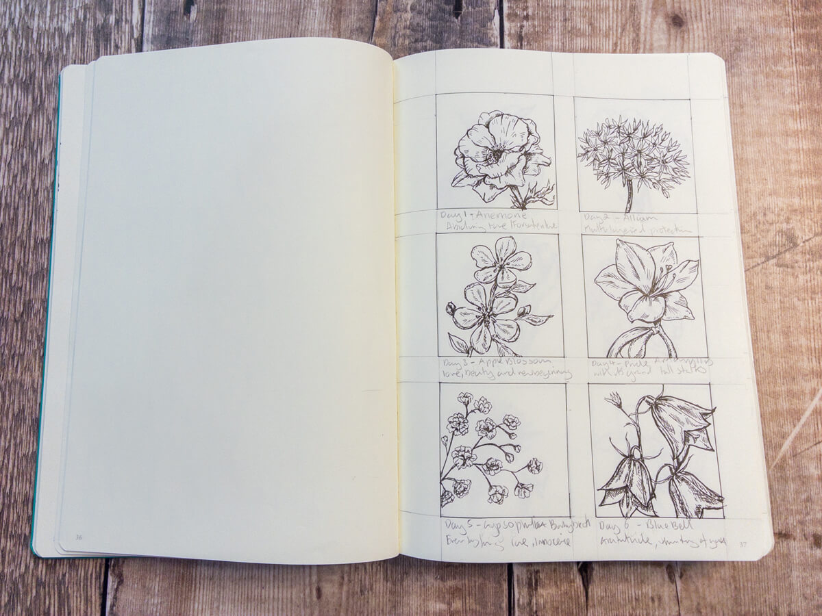 Anemone illustration in fine line ink, symbolising forgotten love.