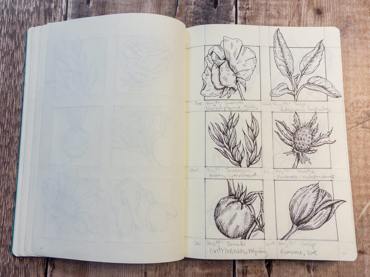 Tulip ink sketch, symbolising romance.