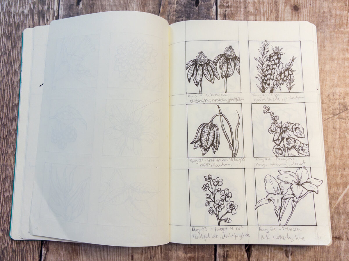 Foxglove close-up sketch, symbolising magic and healing.