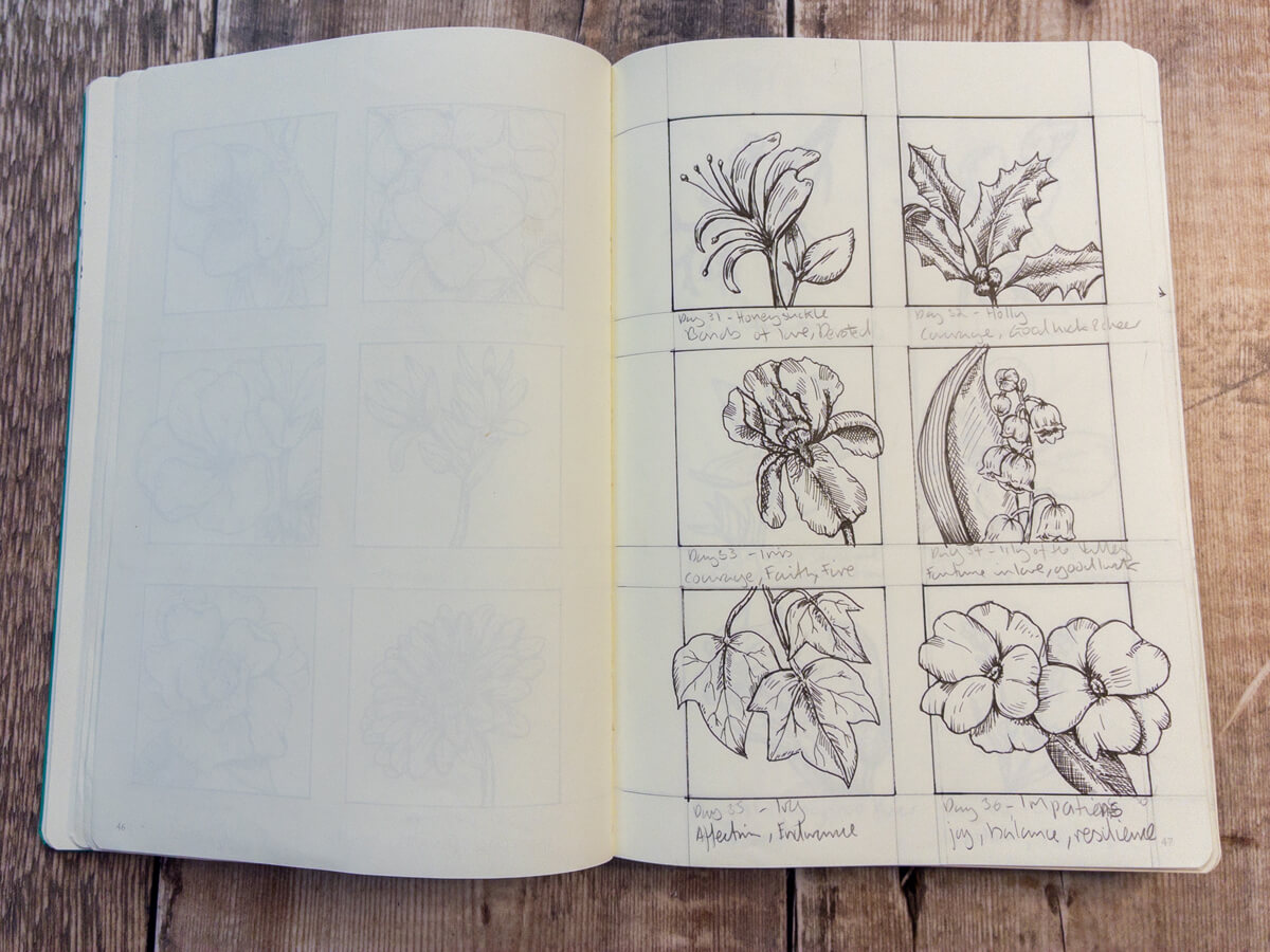 Ivy trailing sketch, representing affection and endurance.