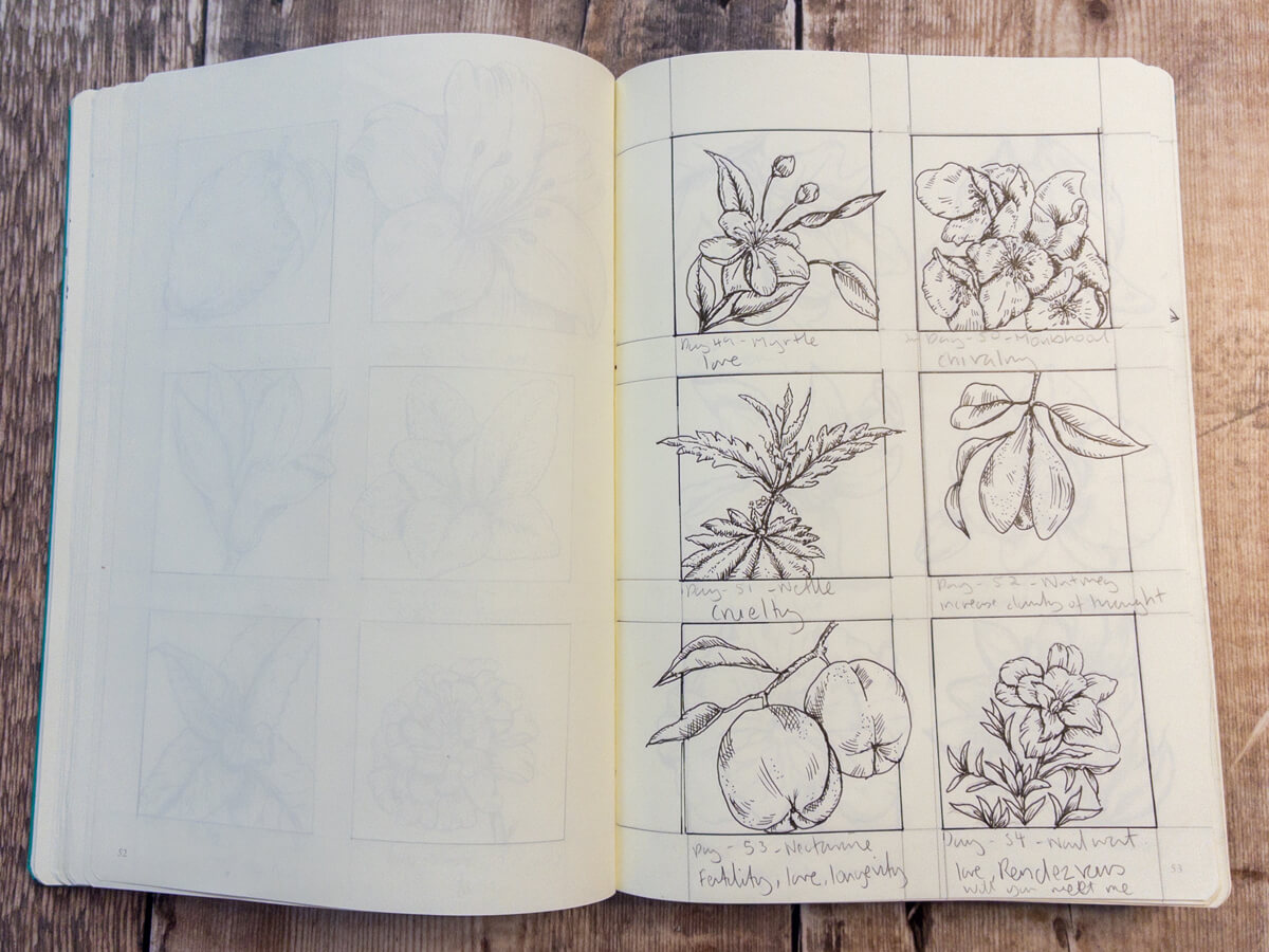Nectarine flower pen drawing, for fertility, love and longevity.