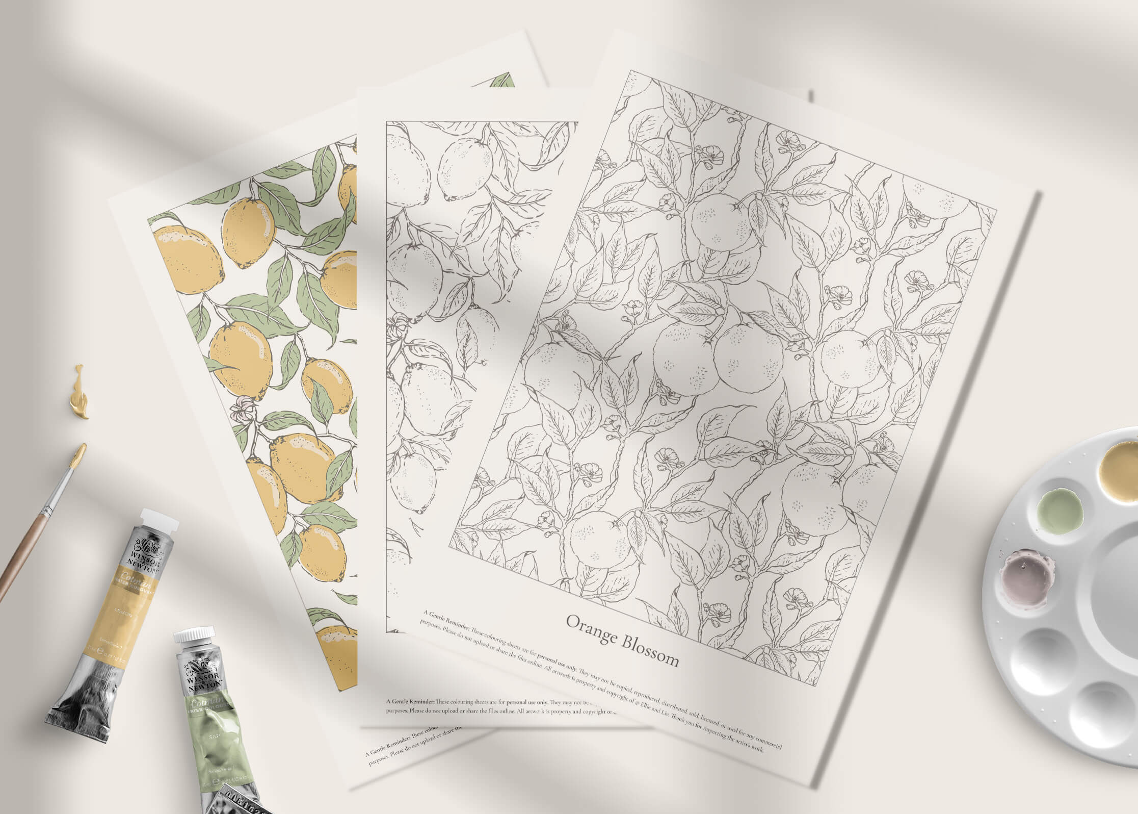 Free downloadable summer lemon and orange colouring sheets