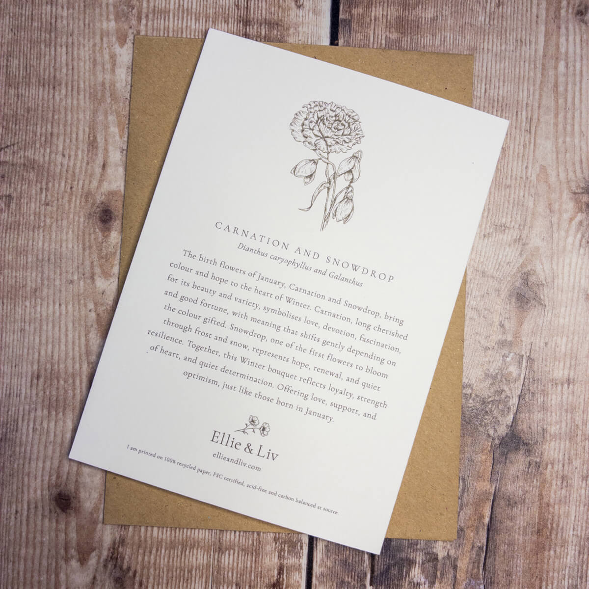 January birth flower, symbolism of birth flowers. Flowers telling your story