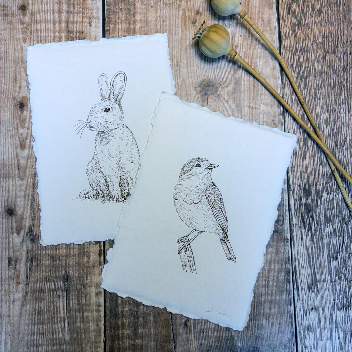 Hand drawn rabbit and robin in natural pigment ink on handmade paper