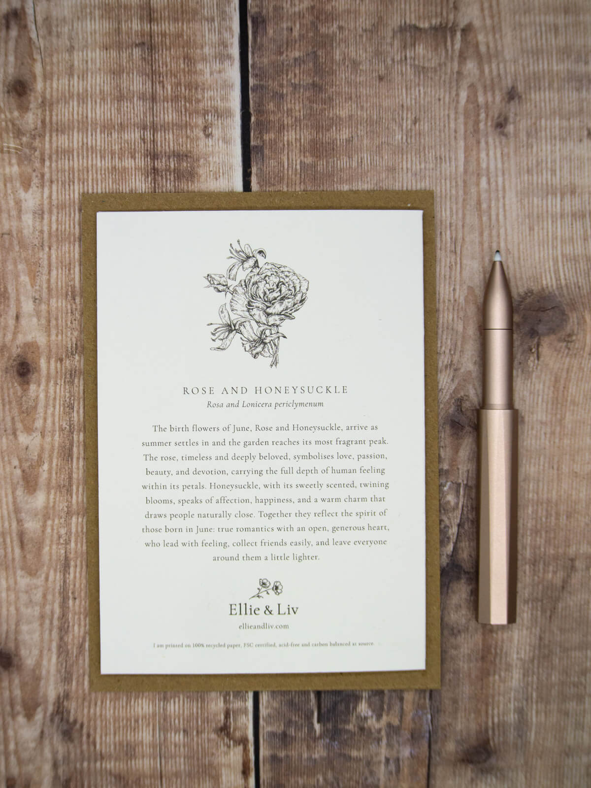 Back of June birth flower card by Ellie and Liv, hand drawn botanical keepsake card. Description of language of flowers, symbolism and folklore